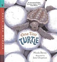 [중고] One Tiny Turtle: Read and Wonder (Paperback)