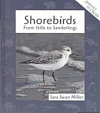 Shorebirds (Library)