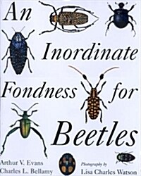 An Inordinate Fondness for Beetles (Paperback)