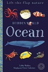 Hidden World: Ocean (Novelty Book)