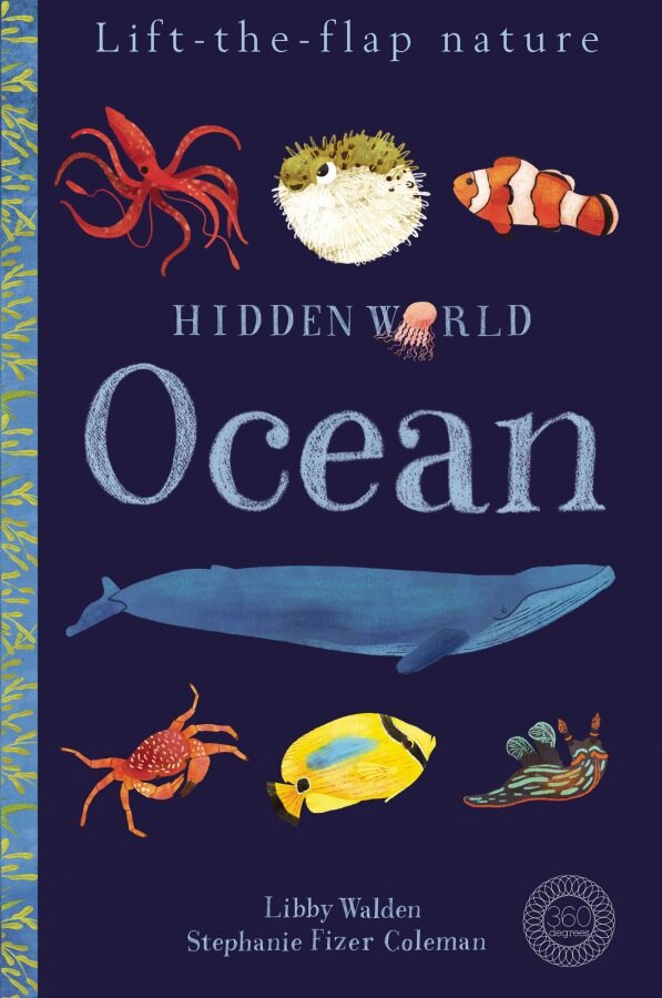 Hidden World: Ocean (Novelty Book)