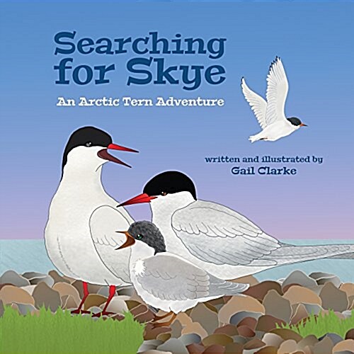 Searching For Skye : An Arctic Tern Adventure (Paperback, 2 Revised edition)