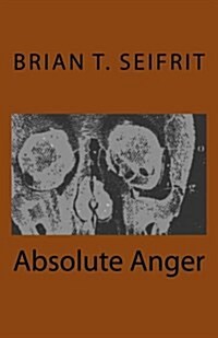 Absolute Anger (Paperback)