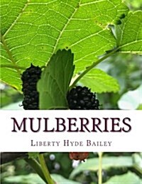 Mulberries (Paperback)