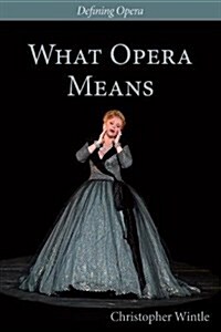What Opera Means : Categories and Case-studies (Hardcover)