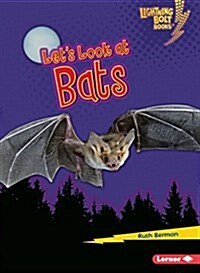 Lets Look at Bats (Library Binding)