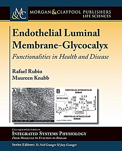 Endothelial Luminal Membrane-Glycocalyx: Functionalities in Health and Disease (Paperback)