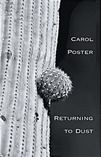 Returning to Dust (Paperback)