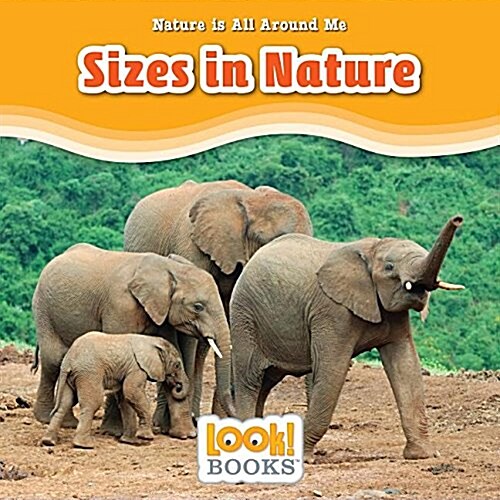 Sizes in Nature (Library Binding)