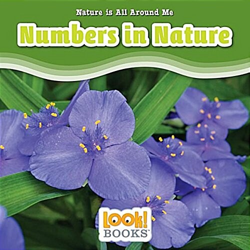 Numbers in Nature (Paperback)
