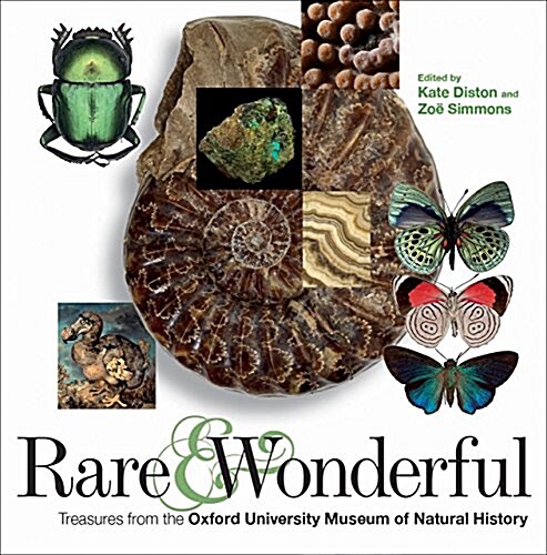 Rare & Wonderful : Treasures from Oxford University Museum of Natural History (Hardcover)