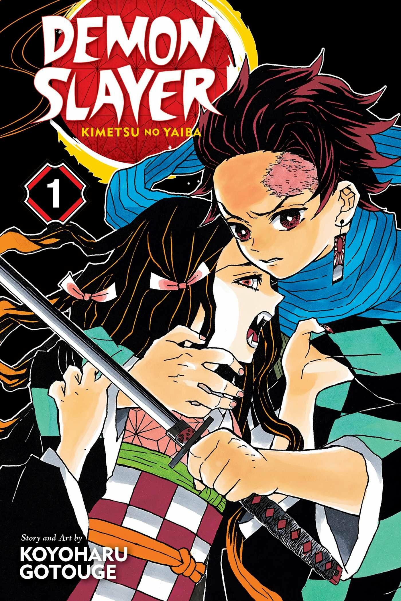 Demon Slayer: Kimetsu no Yaiba, Vol. 1 (Paperback)