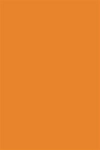 Tangerine 101 - Cornell Notes Notebook C: Style C, 101 Pages/50 Sheets, 6 X 9, Medium Ruled (Paperback)