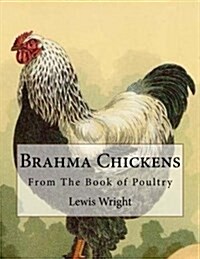 Brahma Chickens: From the Book of Poultry (Paperback)