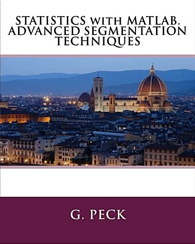 Statistics with MATLAB. Advanced Segmentation Techniques (Paperback)