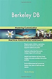 Berkeley DB: Mastering Customization (Paperback)