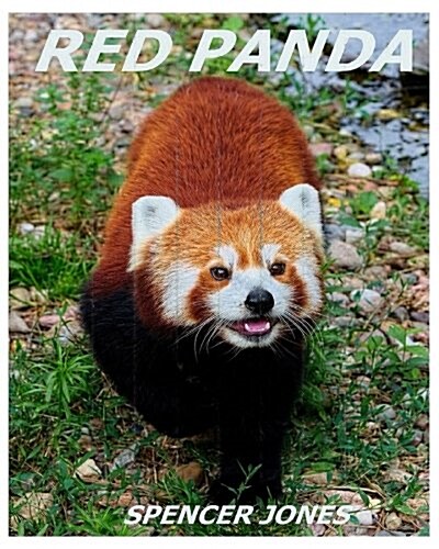 Red Panda: Learn about Red Pandas-Amazing Pictures & Fun Facts (Paperback)