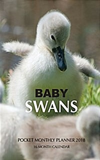 Baby Swans Pocket Monthly Planner 2018: 16 Month Calendar (Paperback)
