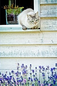 Cat in a Cottage Window Journal: 150 Page Lined Notebook/Diary (Paperback)