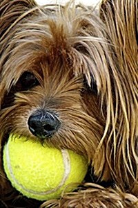 Yorkshire Terrier with a Tennis Ball Journal: Take Notes, Write Down Memories in This 150 Page Lined Journal (Paperback)