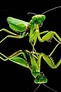 Praying Mantis and Reflection Journal: Take Notes, Write Down Memories in This 150 Page Lined Journal (Paperback)