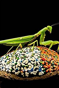 Praying Mantis on a Painted Stone Journal: Take Notes, Write Down Memories in This 150 Page Lined Journal (Paperback)
