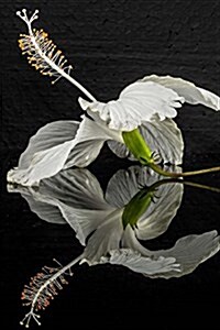 Stunning White Hibiscus Flower and Reflection Journal: Take Notes, Write Down Memories in This 150 Page Lined Journal (Paperback)