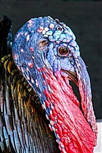 Ugly Thanksgiving Turkey Journal: Take Notes, Write Down Memories in This 150 Page Lined Journal (Paperback)