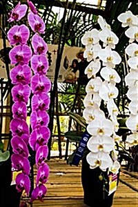 Stunning Potted Purple and White Orchids Journal: Take Notes, Write Down Memories in This 150 Page Lined Journal (Paperback)