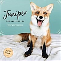 Juniper: The Happiest Fox 2019 Wall Calendar (Wall)