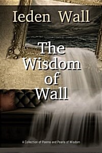 The Wisdom of Wall (Paperback)