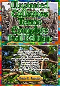 Illustrated Collective Terms (Paperback, Large Print)