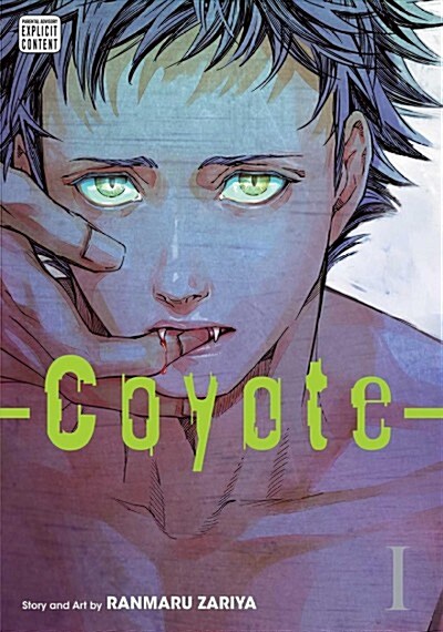 Coyote, Vol. 1 (Paperback)