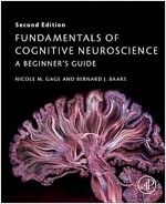 Fundamentals of Cognitive Neuroscience: A Beginner's Guide (Paperback, 2)