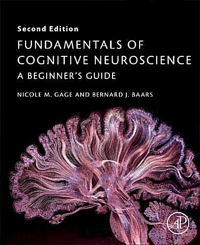 Fundamentals of Cognitive Neuroscience: A Beginners Guide (Paperback, 2)