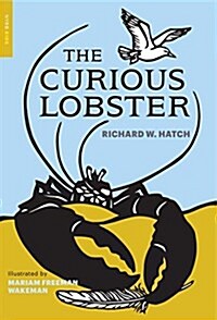 The Curious Lobster (Paperback)