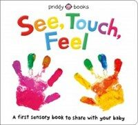 See, touch, feel :a first sensory book to share with your baby 