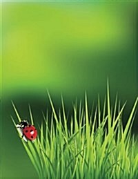 Ladybug Grass Sketchbook: Notebook Journal Sketch (Paperback)