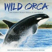 Wild orca :the oldest, wisest whale in the world 