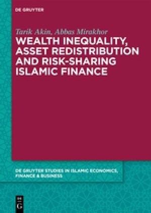 Wealth Inequality, Asset Redistribution and Risk-sharing Islamic Finance (Hardcover)