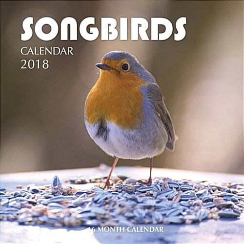 Songbirds Calendar 2018: 16 Month Calendar (Paperback)