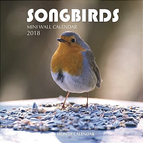 Songbirds Mini Wall Calendar 2018 (Paperback)