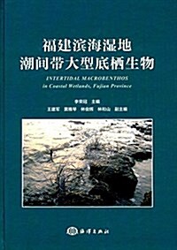 福建滨海濕地潮間帶大型底棲生物 (精裝, 第1版)