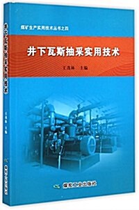 井下瓦斯抽采實用技術/煤矿生产實用技術叢书 (平裝, 第1版)