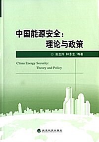 中國能源安全:理論與政策 (平裝, 第1版)