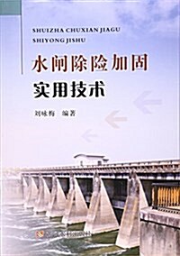 水閘除險加固實用技術 (平裝, 第1版)