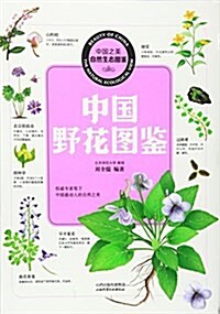 中國野花圖鑒/中國之美自然生態圖鑒 (平裝, 第1版)