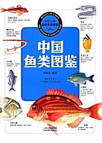 中國之美·自然生態圖鑒:中國魚類圖鑒 (精裝, 第1版)
