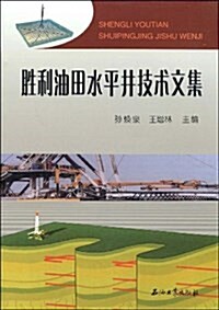 胜利油田水平井技術文集 (平裝, 第1版)