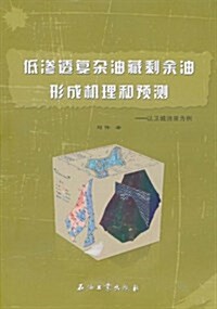 低渗透复雜油藏剩余油形成机理和预测:以卫城油田爲例 (平裝, 第1版)